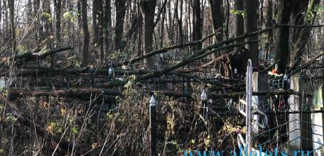 Заброшенное кладбище почти в центре города Ельца. Своих и бросаем, и не помним!