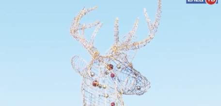 Олень в Ельце находится на своём месте!