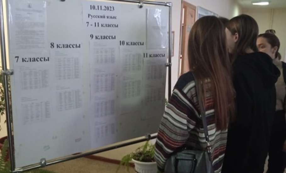 Елецкие школьники сегодня приняли участие в Олимпиаде по русскому языку