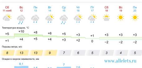 Всю следующую неделю в Ельце дожди!