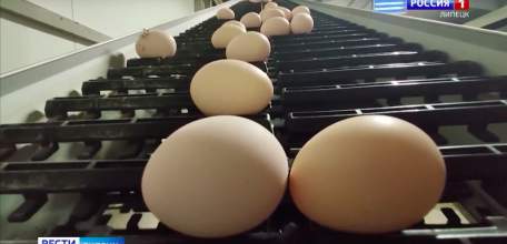 Рост цен на куриные яйца в Липецкой области проверит УФАС