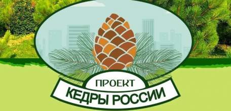В рамках Всероссийского проекта "КЕДРЫ РОССИИ" в МАОУ "СШ №12 им. Героя РФ В.А. Дорохина" были доставлены более 250 саженцев кедра