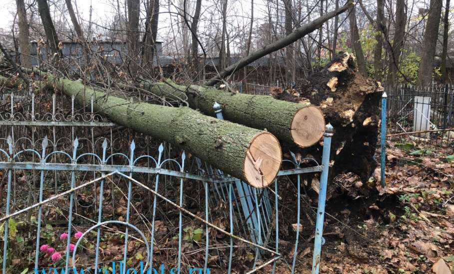 На городском кладбище в Ельце повредили чужое имущество!