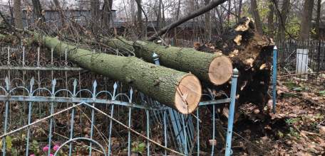 На городском кладбище в Ельце повредили чужое имущество!