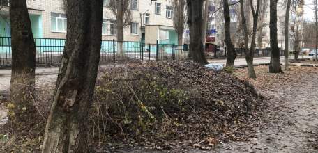 Несанкционированная свалка мусора образовалась в жилом микрорайоне Ельца!