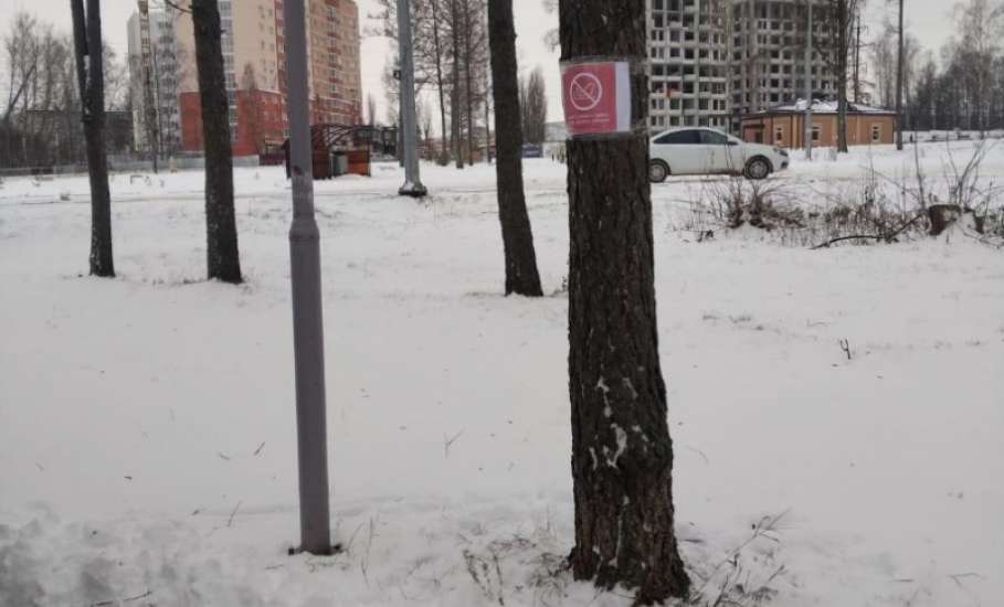Администрация Ельца развесила на скотч запрещающие таблички на деревья!
