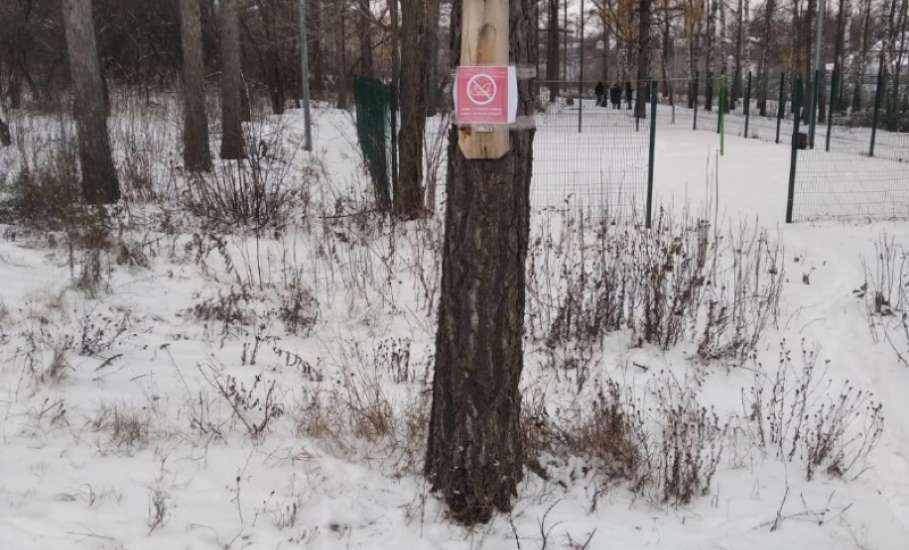 Администрация Ельца развесила на скотч запрещающие таблички на деревья!
