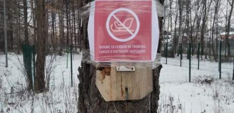 Администрация Ельца развесила на скотч запрещающие таблички на деревья!