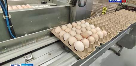 Яйца в Липецкой области третий раз подорожали на 4% за неделю