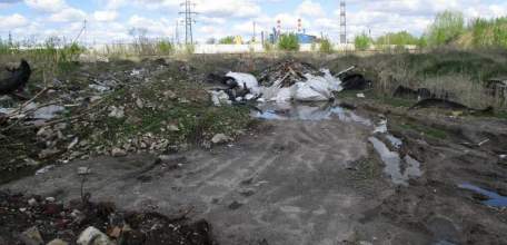 Росприроднадзор оштрафовал мэрию Ельца на 3 млн за загрязнение почвы урочища