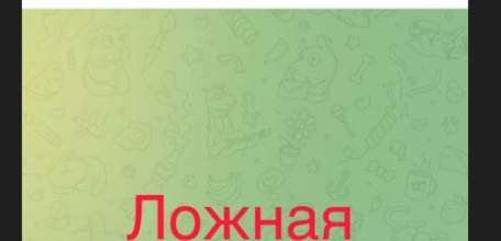 Мошенники создали два новых фейковых аккаунта