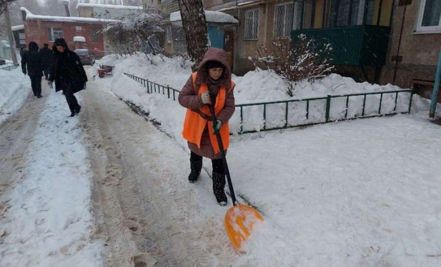 Липецких студентов приглашают убирать снег за тысячу рублей