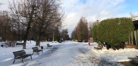 19-летний ельчанин подозревается в краже денежных средств и хищении сотового телефона