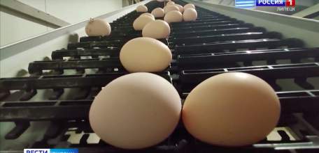 Прокуратура следит за ростом цен на яйца в Липецкой области