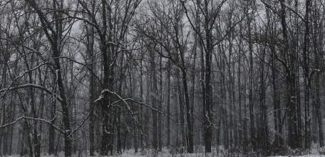 В Ельце ожидается метель!