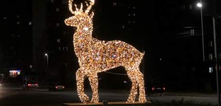 В Липецкой области творится полное беззаконие!