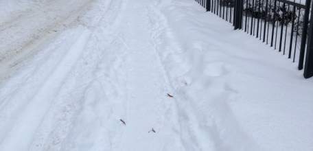 Состояние тротуаров и дорог в городе Ельце ужасное!