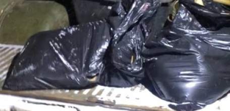 Охотинспектора задержали с двумя убитыми косулями