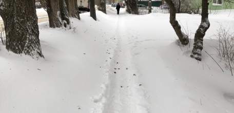 Тротуары в Ельце не чищены! На автобусных остановках люди выходят в сугробы