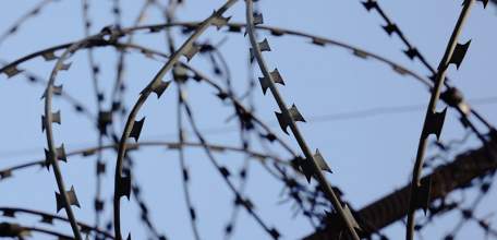 Елецкая тюрьма попыталась взыскать с осужденного-тунеядца 95 163 рубля