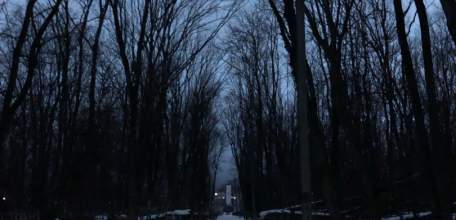 Освещение кладбища в Ельце снова отсутствует. Опять ждём ЧП?