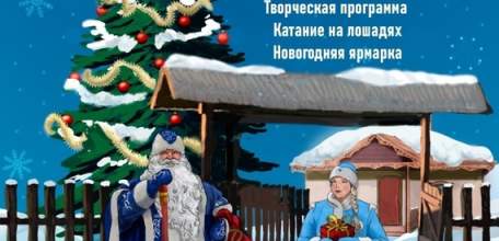 НОВОГОДНИЙ ПРАЗДНИК В ЕЛЕЦКОМ КРАЕ!