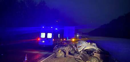 В Становлянском районе в столкновении с большегрузом пострадали водитель и пассажирка «Шкоды».