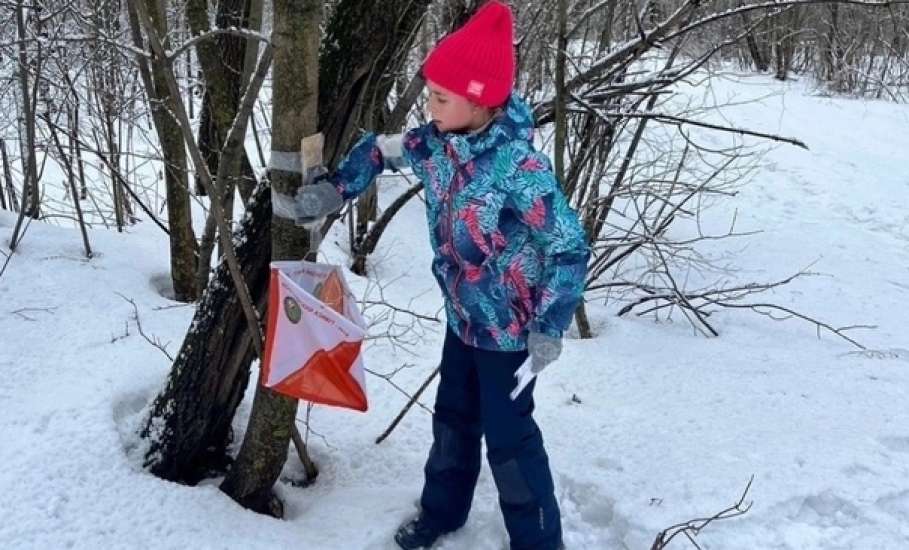 В новогодних стартах по ориентированию ельчане заняли шесть призовых мест