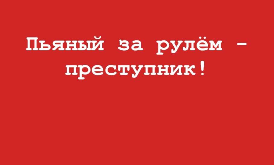 В Ельце будут ловить лишённых прав и пьяных водителей в Новом году!