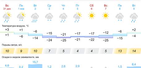 Прогноз погоды в Ельце на 10 дней 2024. Морозы до -25!