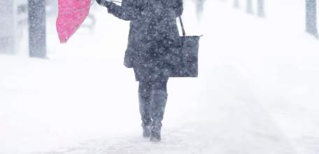 В ближайшие 2-4 часа в Липецкой области ожидается усиление северного ветра до 16 м/с.