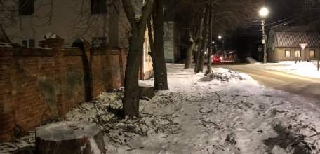 Статистические данные о состоянии коррупционной преступности на территории Липецкой области по итогам 2023 года