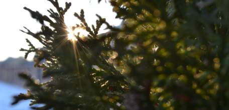 В Липецкой области аномально похолодает до -18 и выпадет снег в пятницу