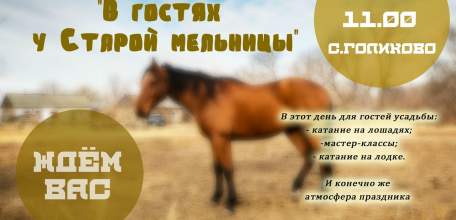 ТИЦ "Елецкий край" приглашает посетить усадьбу «Старая мельница»