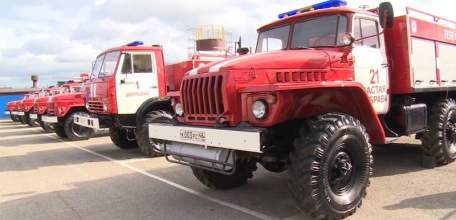 10 КРОЛИКОВ СГОРЕЛИ НОЧЬЮ В СЕЛЕ ЕЛЕЦКОГО РАЙОНА