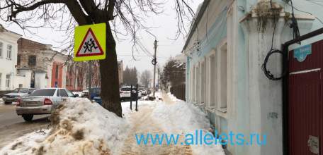 Печальная картина в Ельце не первый год! Городу нужен новый глава!