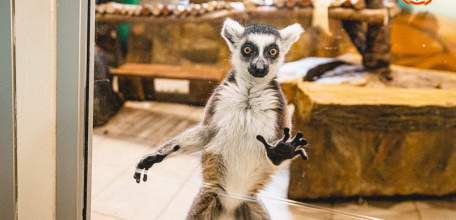 Теплый атмосферный фронт гостит в Липецкой области 13 февраля. Ожидаются осадки, местами туман, гололед, гололедица