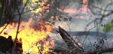 Добровольных пожарных региона будут страховать на 100 тысяч рублей