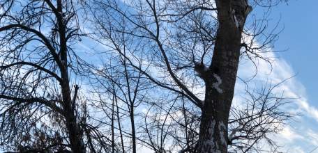 Жителей Курской области предупредили о ракетной опасности!