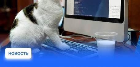 Льготной ипотекой под 3% смогут воспользоваться айтишники Липецкой области