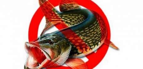 Весенне-летний нерестовый запрет на рыбалку 2017 года