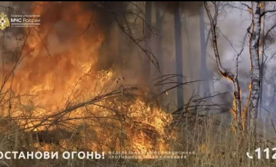 На территории Липецкой области введён особый противопожарный режим!