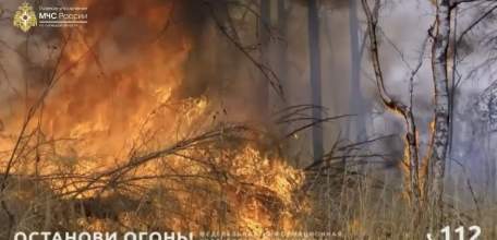 На территории Липецкой области введён особый противопожарный режим!