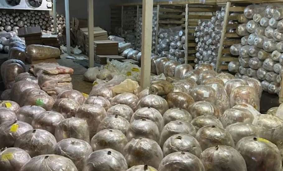 В Воронеже полицейские изъяли 70 тонн просроченного мяса, предназначенного для приготовления шаурмы!