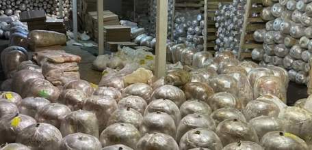 В Воронеже полицейские изъяли 70 тонн просроченного мяса, предназначенного для приготовления шаурмы!