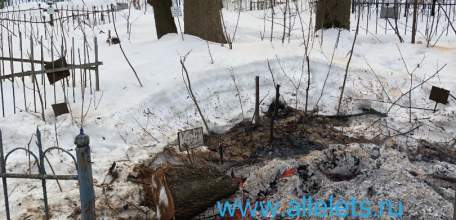 На старом кладбище в Ельце сегодня на могилах жгли поваленные деревья!