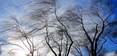 В Липецкой области ожидается усиление ветра
