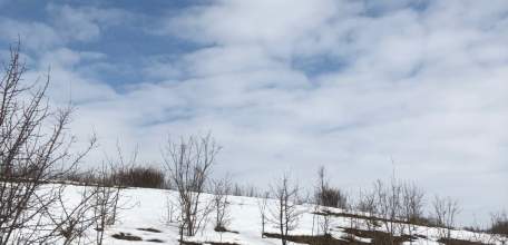 Елецким городским судом вынесен приговор в отношении ранее судимого 28- летнего уроженца г.Ельца Липецкой области