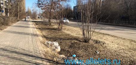 Вместо газона теперь в Ельце грязный песок!