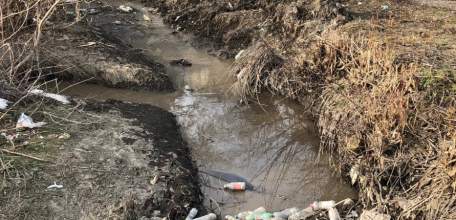 В Ельце умирает речка Лучок